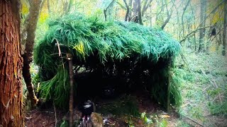 12 hours solo survival in deep forest bushcraft [upl. by Nomrej]