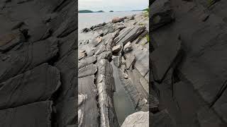 The giant slabs of Canadian Shield at Killbear Provincial Park [upl. by Micah]