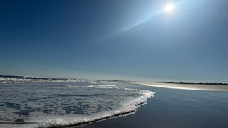 Shelling at Corson’s Inlet State Park [upl. by Aranahs]