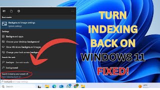 Windows 11 Search Not Working FIXED [upl. by Uyerta]