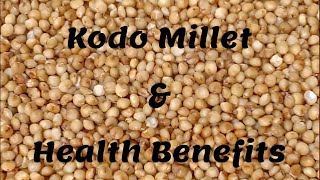 All About Kodo Millet  Health Benefits of Kodo Millet  Positive Millets  Siridhanya Millets [upl. by Michelina561]