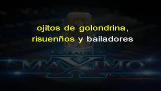 ojitos de golondrina joan sebastian karaoke [upl. by Hacim]