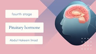 Pituitary hormone Pharmacology III second course 4th stageBy عبد الحكيم عماد [upl. by Nitsraek]