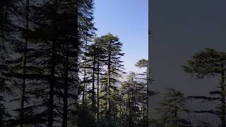 Mountain view Kashmir viral shorts instagram splore psplorepage [upl. by Nosliw]