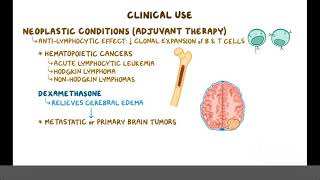 Glucocorticoids Pharmacology [upl. by Spurgeon615]