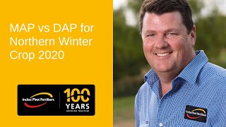 MAP vs DAP for Northern Winter Crop 2020 by Bede OMara [upl. by Eekaz]