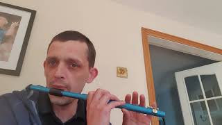 Wolverhampton town  Bb flute [upl. by Oderfliw]