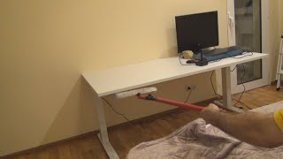 Adjustable desk SLANGERUP 80x160 White Unboxing Assembly and Test [upl. by Andrel8]