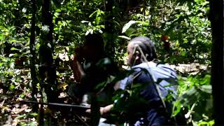 Whistleing the Agouti a method of hunting Trinidad amp Tobago [upl. by Naitsyrk686]