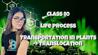 CLASS 10  LIFE PROCESS  TRANSPORTATION IN PLANTS TRANSLOCATION [upl. by Liek]