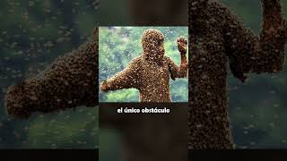 El Origen De Las Abejas Más Agresivas Del Mundo SHORTS [upl. by Abercromby]