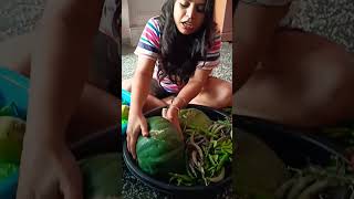 Gaon Se Aaye Itne Saare Sabji🥦 viralvideo minivlog trending youtubeshorts vegetables pahadi [upl. by Synn]