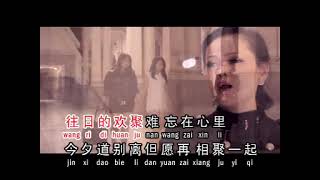 ZHENG ZHONG DAO BIE LI 珍重道別離 KARAOKE RL FEMALE [upl. by Ced]