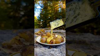 Raclette Swiss Dish  Cooking in Swiss woods [upl. by Trahern]