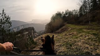 Horseback Riding In The FOREST [upl. by Clapper752]