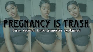 FIRST OFF PREGNANCY SUCKSMY FIRST SECOND amp THRID TRIMESTERS EXPLAINED [upl. by Einnek]