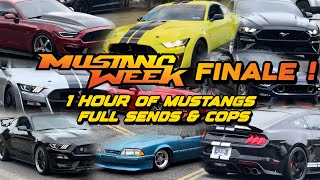 Final Day at Mustang Week Cops Pull outs Full Sends amp More [upl. by Airdnassac666]