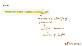 Name the muscle fibre which contains intercalated discs [upl. by Etnoval519]