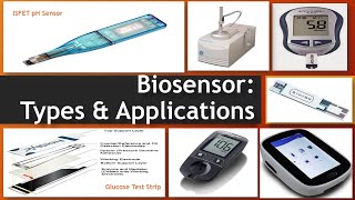 Biosensors Types and Applications [upl. by Itnaihc574]