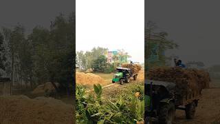 Deutz fahr agromaxx 50 tractor 2Wheel গাছ ধান বইছে কিভাবে দেখুন 14 কাঠা জমির ধান আনছে কিভাবে [upl. by Nnaasil]