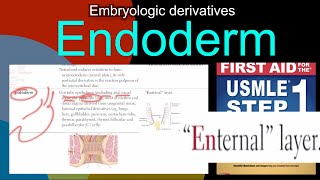 Embryologic derivatives Endoderm in HindiUrdu by first aid for USMLE step 1 [upl. by Aelhsa]