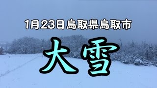 2017年1月23日鳥取県鳥取市大雪簡易レポート [upl. by Dudden719]