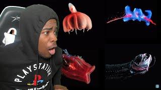 Top 5s Most Mysterious amp Unexplained Sea Creatures Reaction [upl. by Ram]