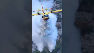 Canadair CL415 EPIC DIVING WATER BOMB [upl. by Monroy235]