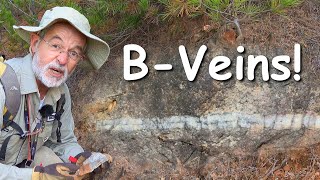 B Type Veins in Porphyry Copper Systems [upl. by Anoval]