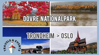 Dovre Nationalpark von Trondheim nach Oslo [upl. by Bloom]