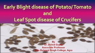 Early Blight Disease of TomatoPotato and Leaf Spot Disease of Crucifers। Dr Jhilmil Gupta [upl. by Hailahk]