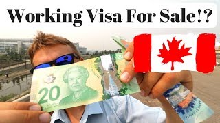 Working Visa For Sale LMIA amp Work Permit in Canada [upl. by Dnumsed]