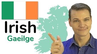 The Irish Language Gaelic [upl. by Yelnikcm810]