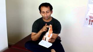 Patellar Tendonitis Massage Treatment  Manu Kalia  Video 141  TridoshaWellness [upl. by Palila207]