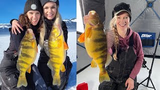 Ice Fishing the Largest Jumbo Perch of Our Lives  Cascade Part 2 [upl. by Cire]