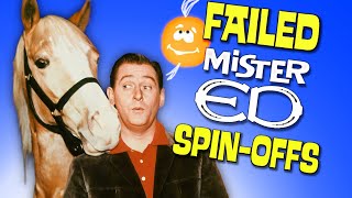 Mister Ed Why The Spinoffs Failed [upl. by Hanway]