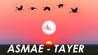 ASMAE  TAYER LYRICS [upl. by Nylrac262]