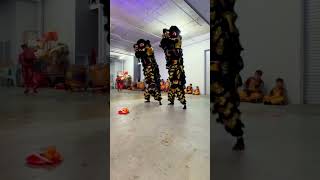 Lion Dance Yunyang [upl. by Ahsirpac]