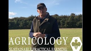 Sainfoin Nutritional Analysis  Agricology Vlog Sept 18 [upl. by Irim]