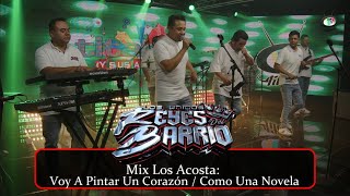 Los Únicos Reyes Del Barrio  Mix Los Acosta [upl. by Wons121]