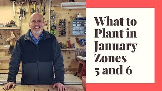 What seedlings to start in January in Zones 5 and 6  January Garden Planting Guide [upl. by Anali]