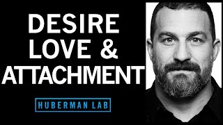 The Science of Love Desire and Attachment [upl. by Berger]