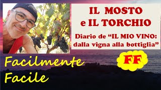 5  IL MOSTO E LA TORCHIATURA DELLE VINACCE  Diario de quotIL MIO VINO DALLA VIGNA ALLA BOTTIGLIAquot [upl. by Nodrog]