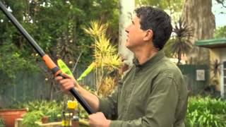 The Garden Gurus  Fiskars Tree Pruner [upl. by Philbrook101]