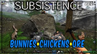 Subsistence  S5 ep12  Bunnies Chickens amp Ore  Base building survival [upl. by Ailelc]