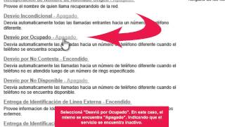 CENTRAL VIRTUAL IPLAN  Tutorial Configuración por ocupado [upl. by Aslin]