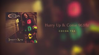 HURRY UP amp COME  B5 963Hz  Cocoa Tea Official Audio [upl. by Rotow296]