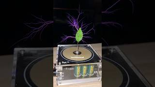 Leaf 🍃 Music Tesla Coil shorts [upl. by Schoenburg]