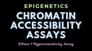 DNase I hypersensitivity assay  Chromatin remodeling assays  Epigenetics  GATECSIRNET [upl. by Louise]