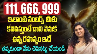 Angel numbers కనిపిస్తున్నాయా  Most Powerful Angel Numbers  Angel Numbers Meaning [upl. by Conah]